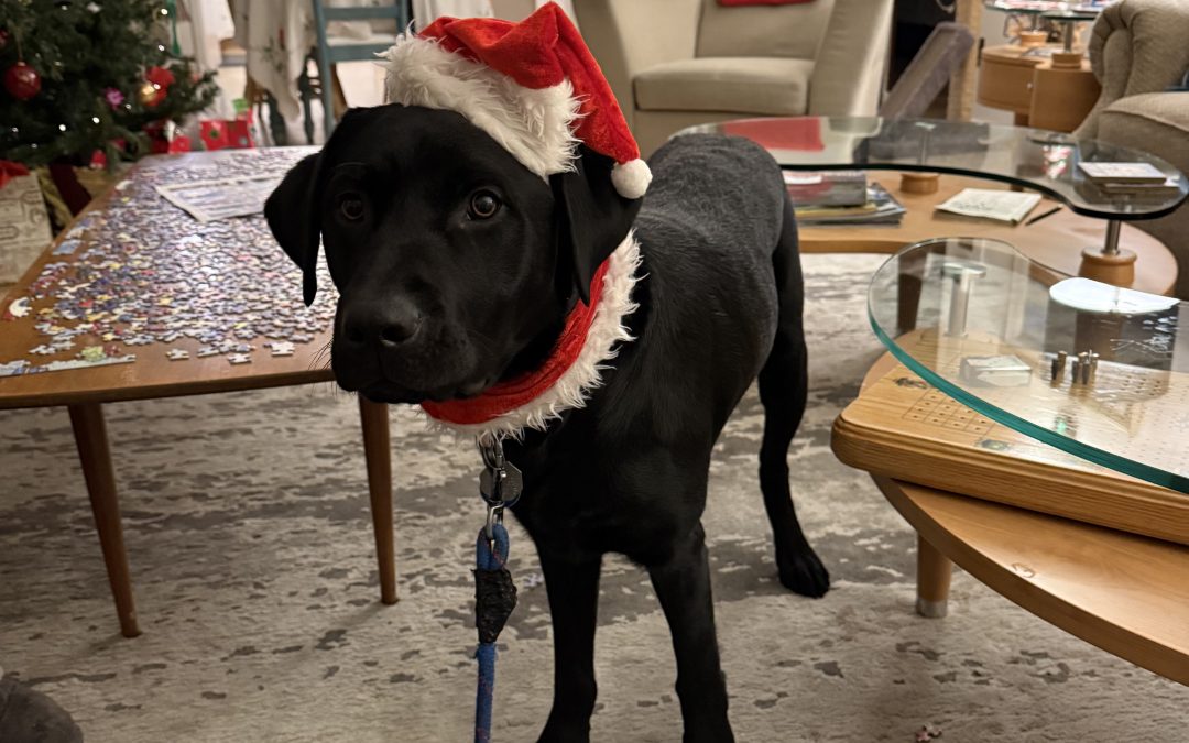 Milos | December 2025