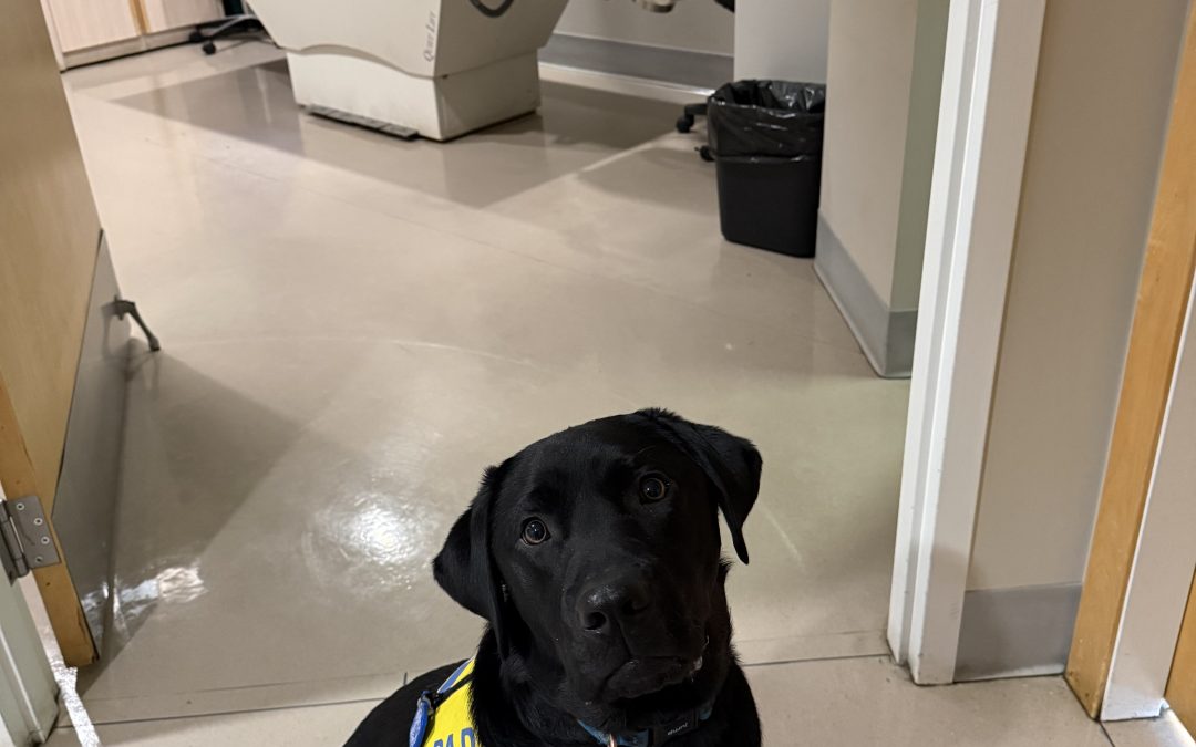 Milos | January 2026