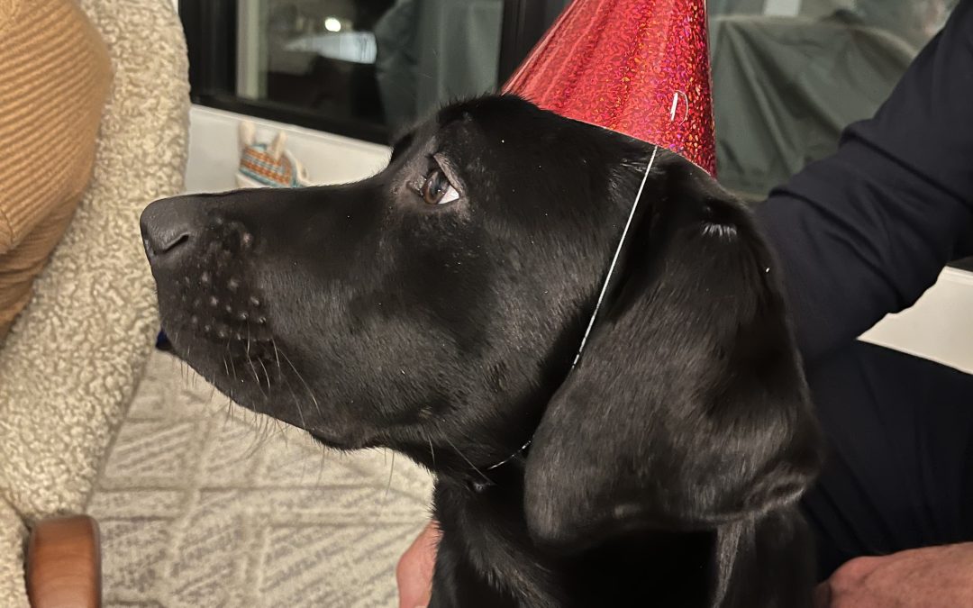 Tide | December 2025