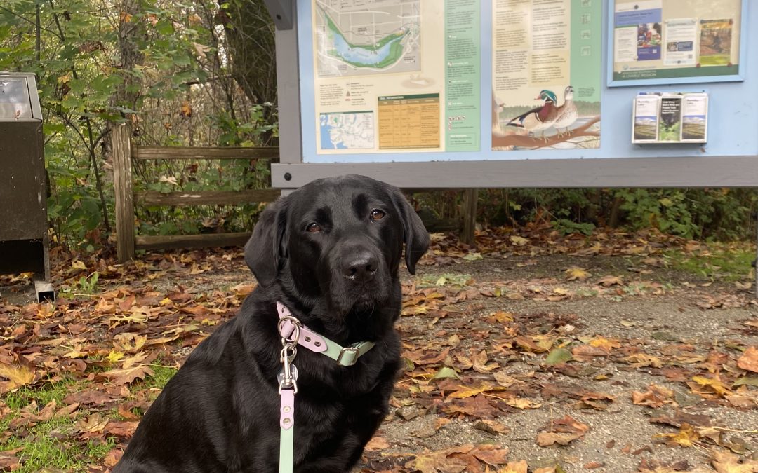 Reece | December 2025