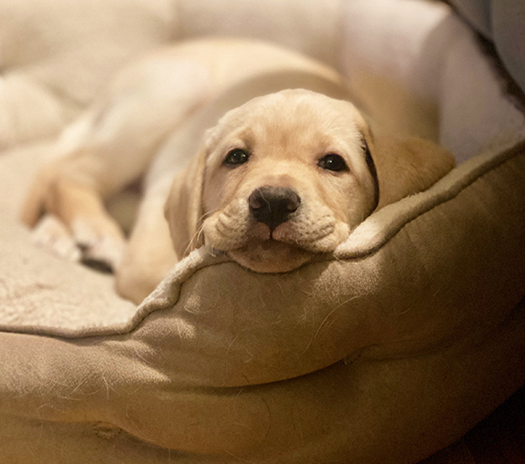 Frosty II | December 2025