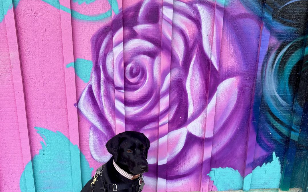 Meadow II | January 2026