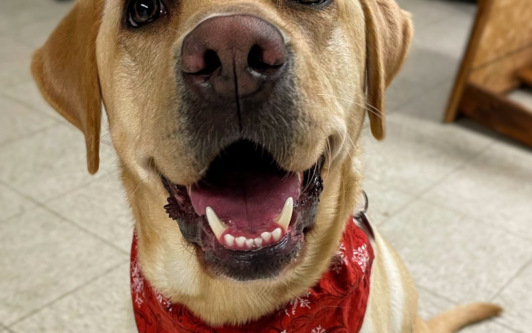 Keller | December 2025