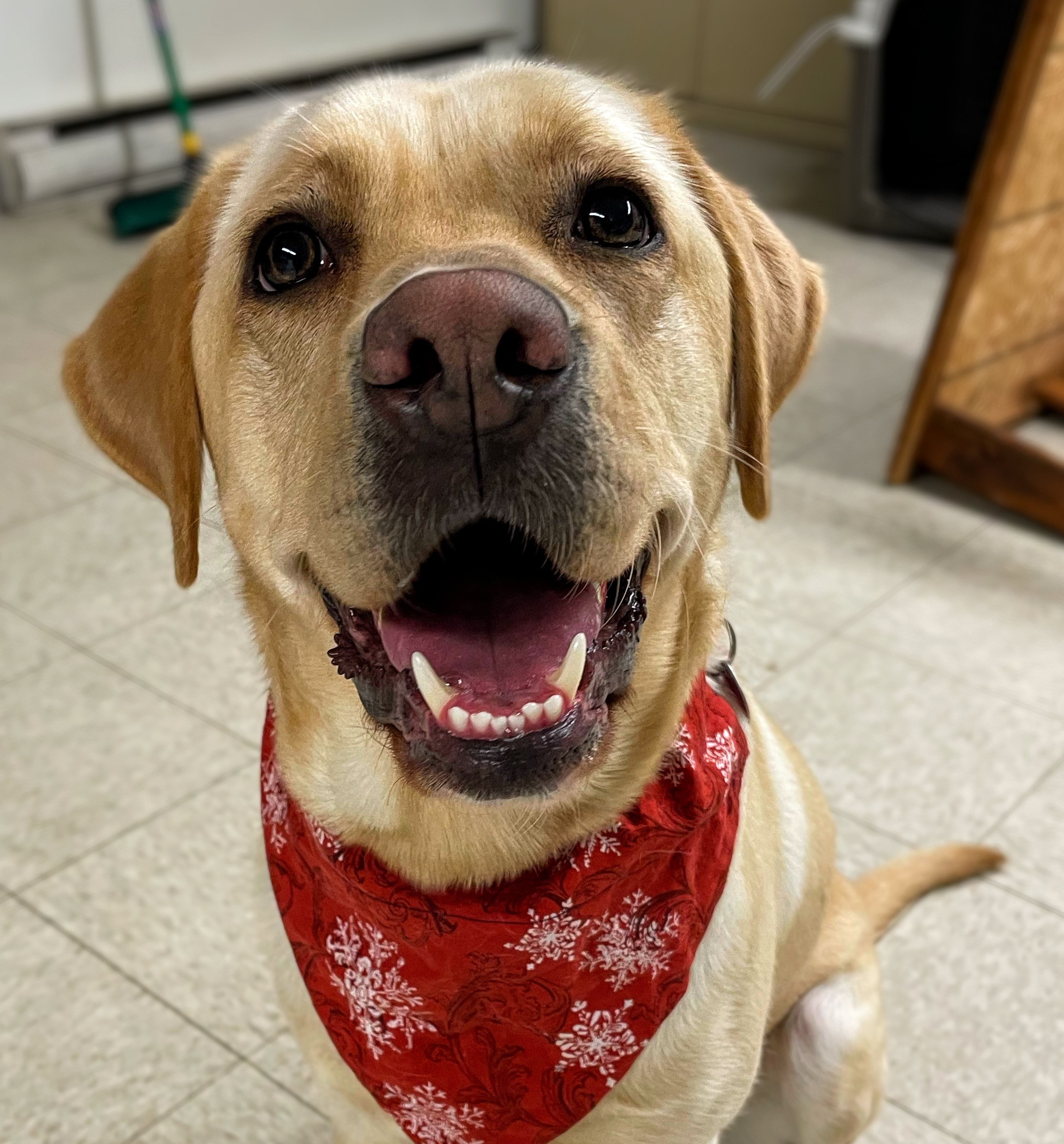 Keller | December 2025