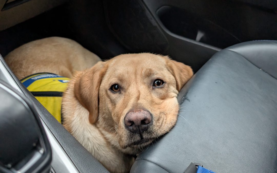 Burgie | December 2025