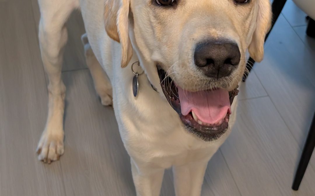 Smaug | December 2025