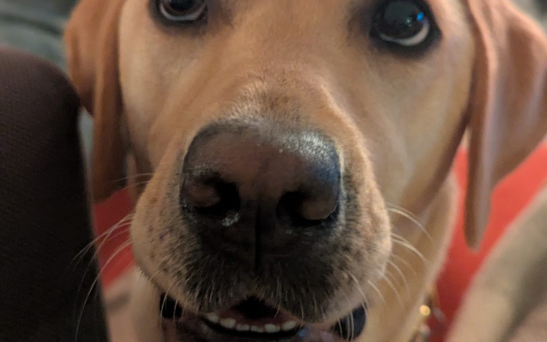 Patty | December 2025