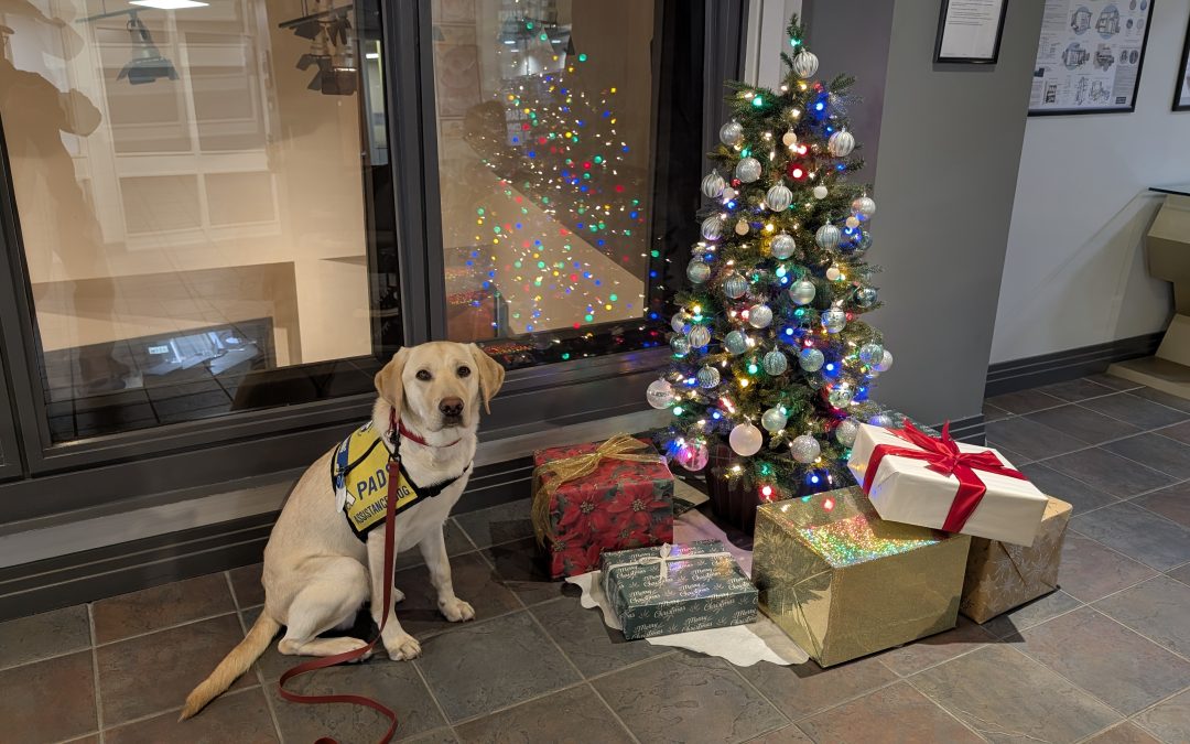 Gaffer | December 2025