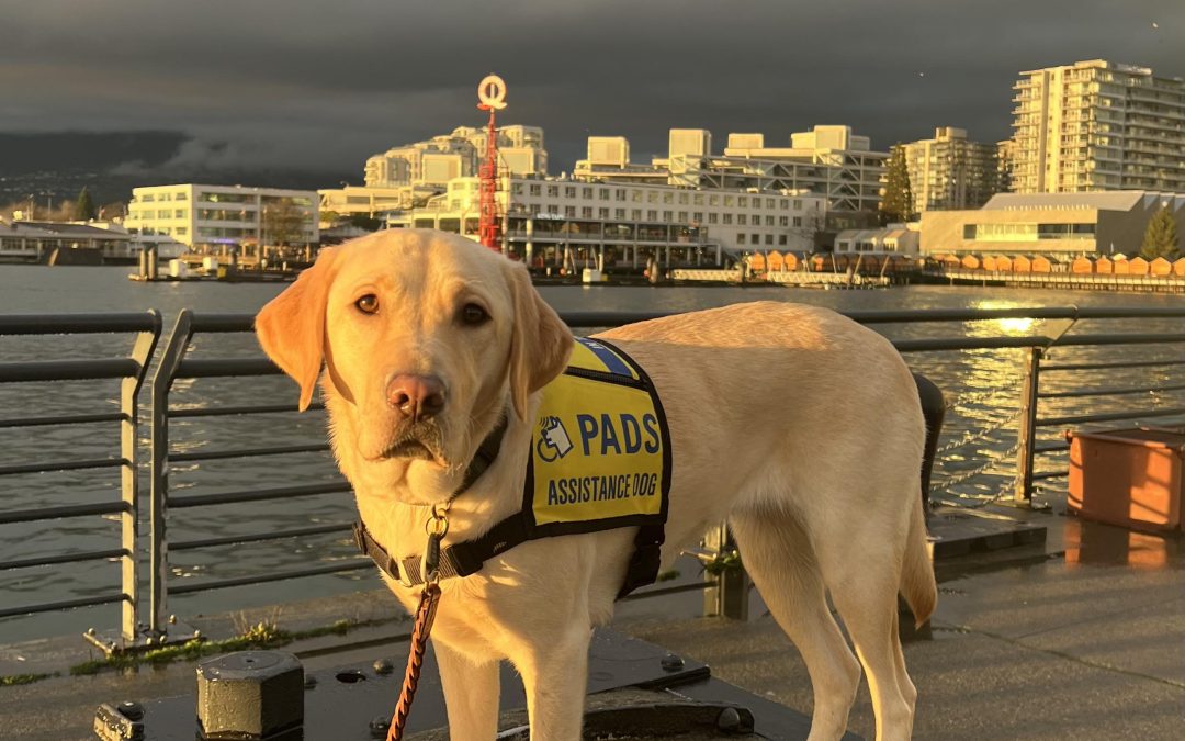 Minnie II | December 2025