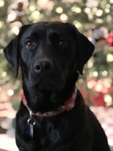 Rimbey | December 2025