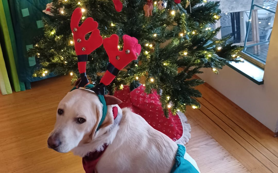 Rita | December 2025