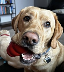 Shah | December 2025