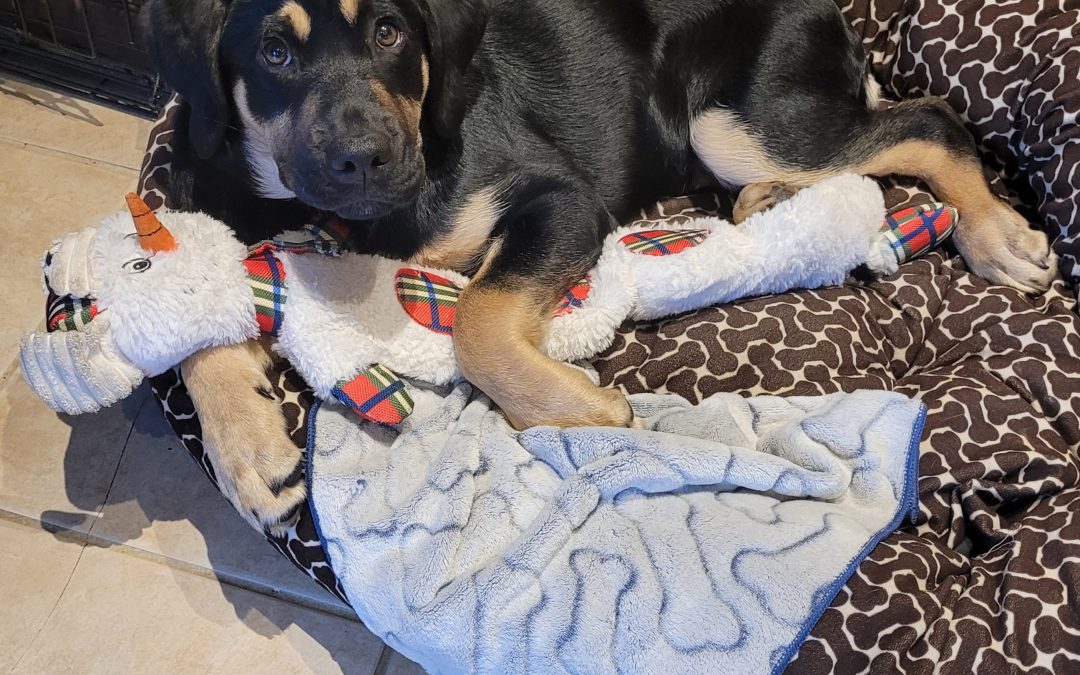 Stetson II | January 2026