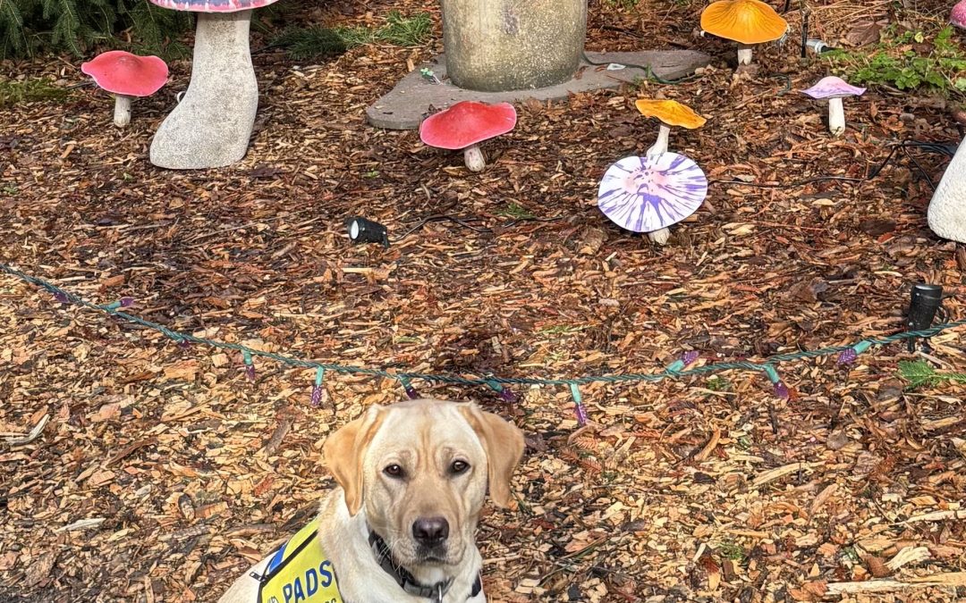 Teenie | December 2025