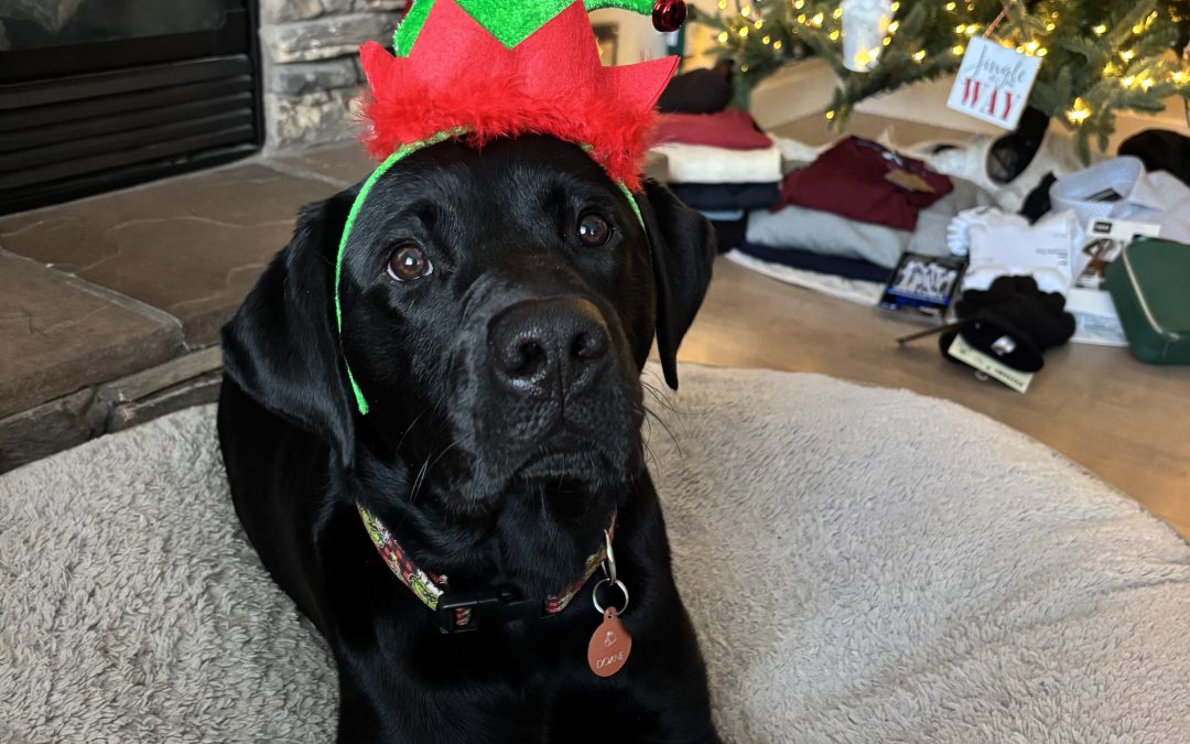 Doane | December 2025