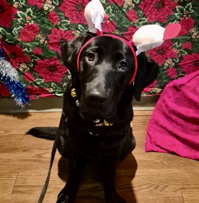 Dot II | December 2025