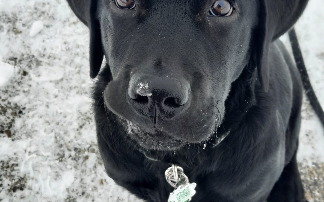 Tank | December 2025