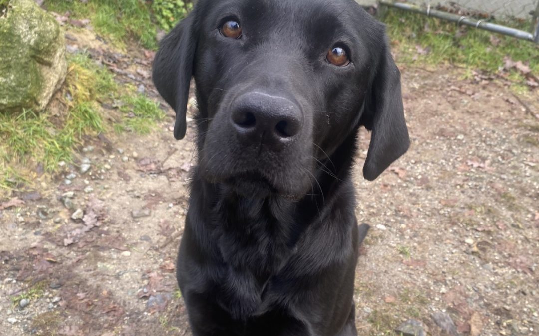 Maeve | December 2025