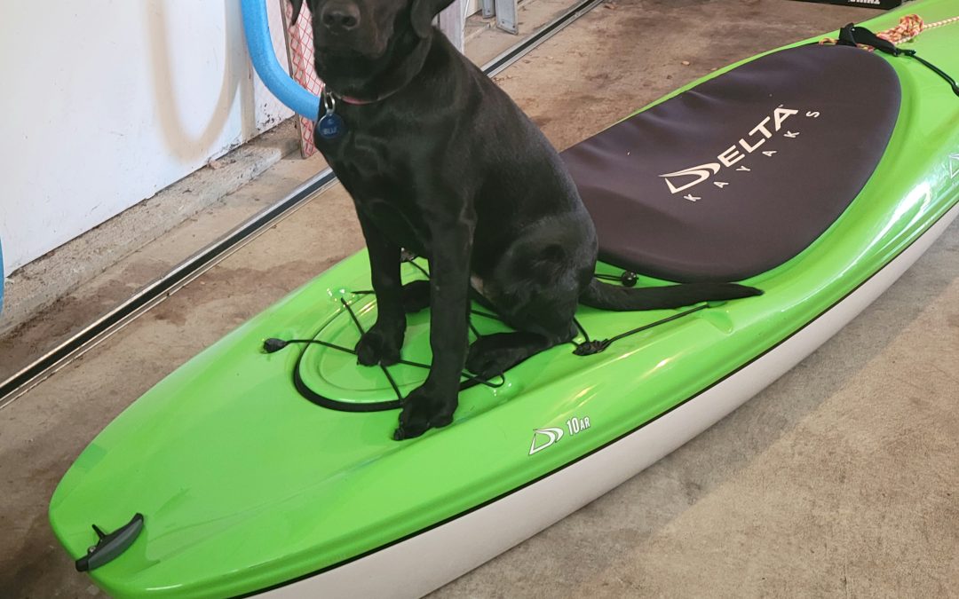 Blue IV | January 2026