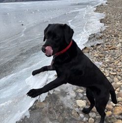 Billie II | January 2026