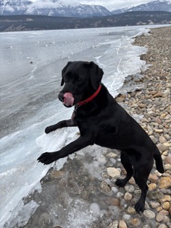 Billie II | January 2026