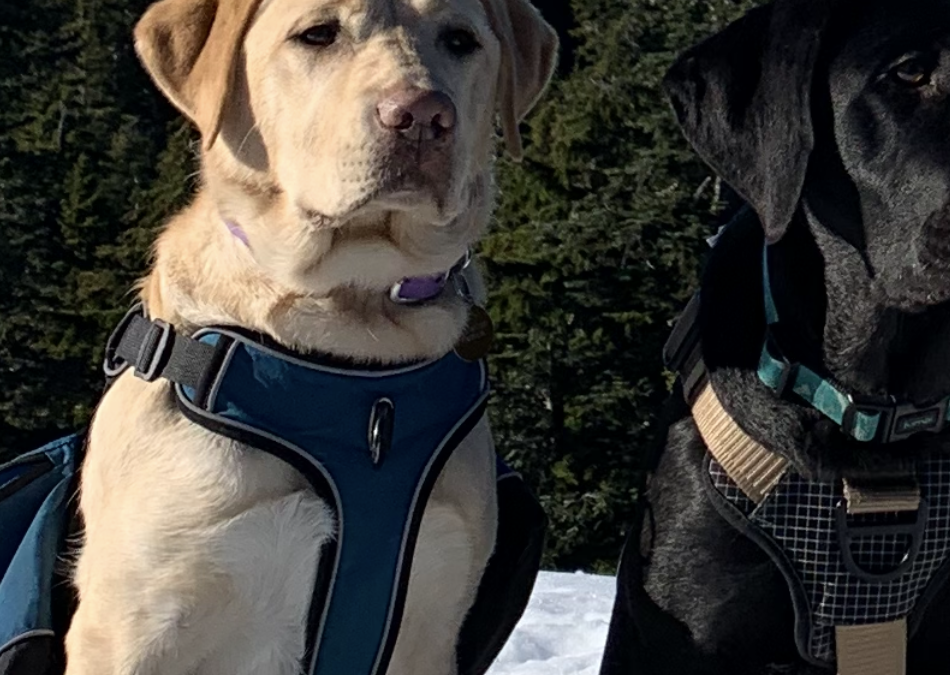 Bonnie II | January 2026