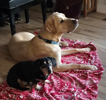 Bowden | January 2026