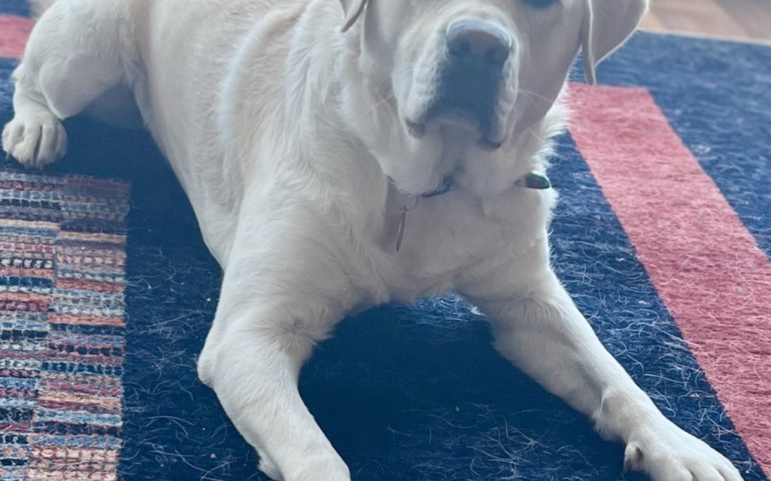 Bumble | January 2026