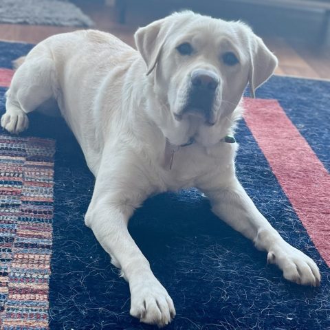 Bumble | January 2026