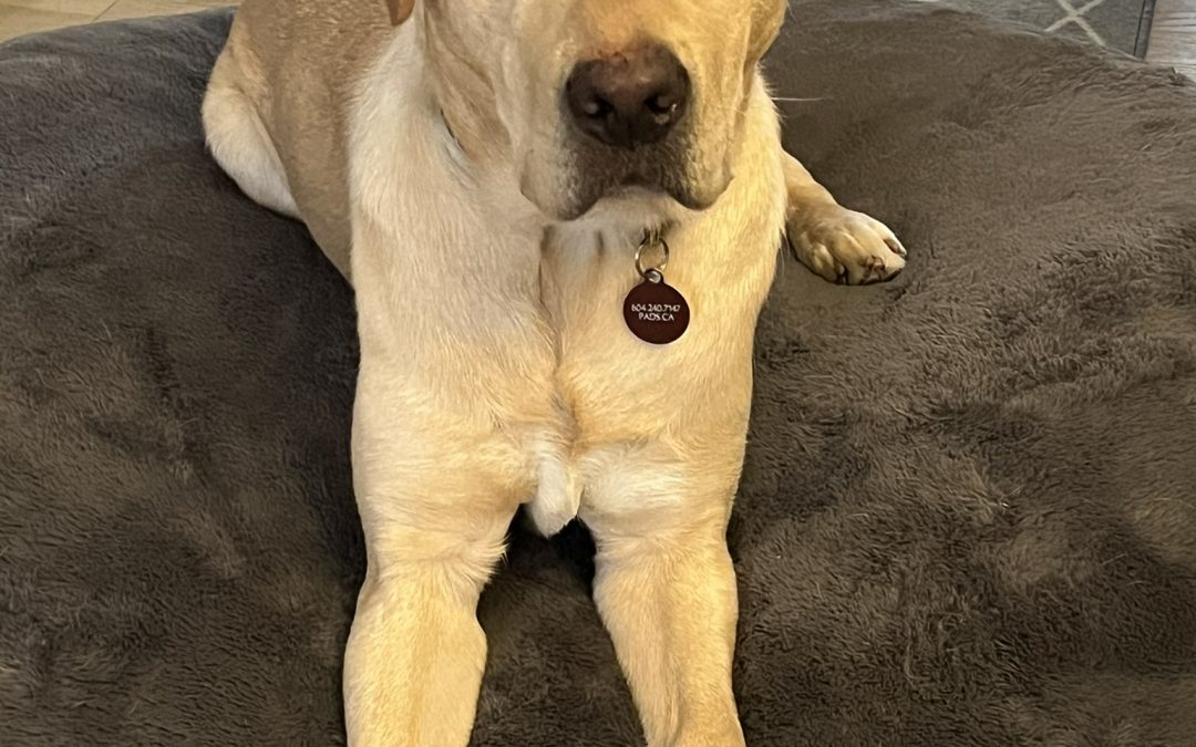 Clyde II | January 2026