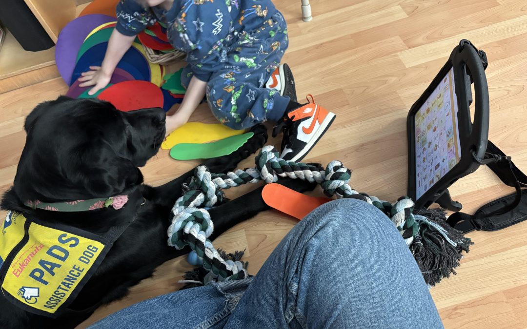 Coola | January 2026