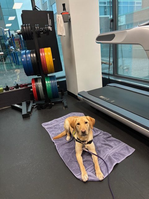 Daisy III | January 2026