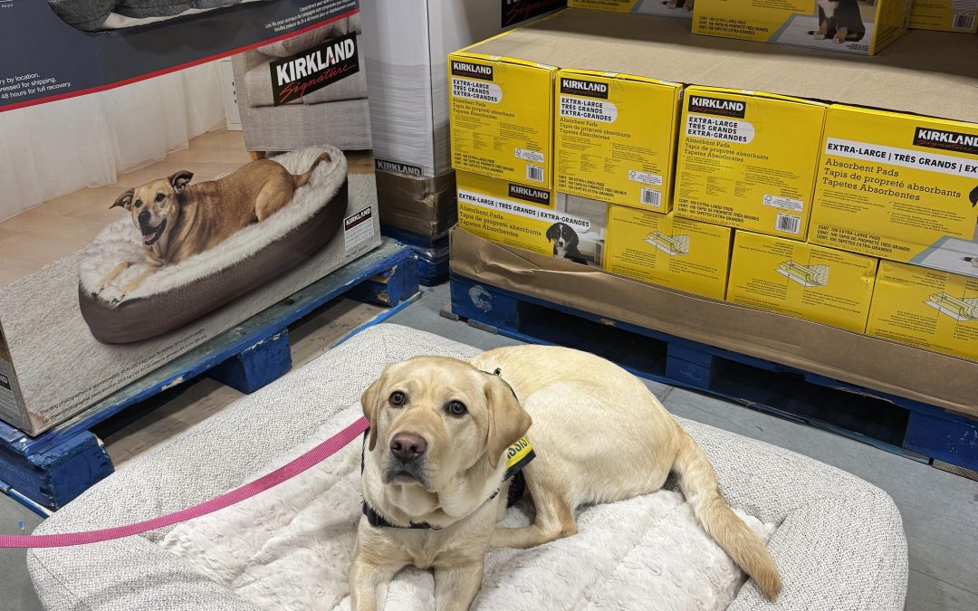 Skaha III | January 2026