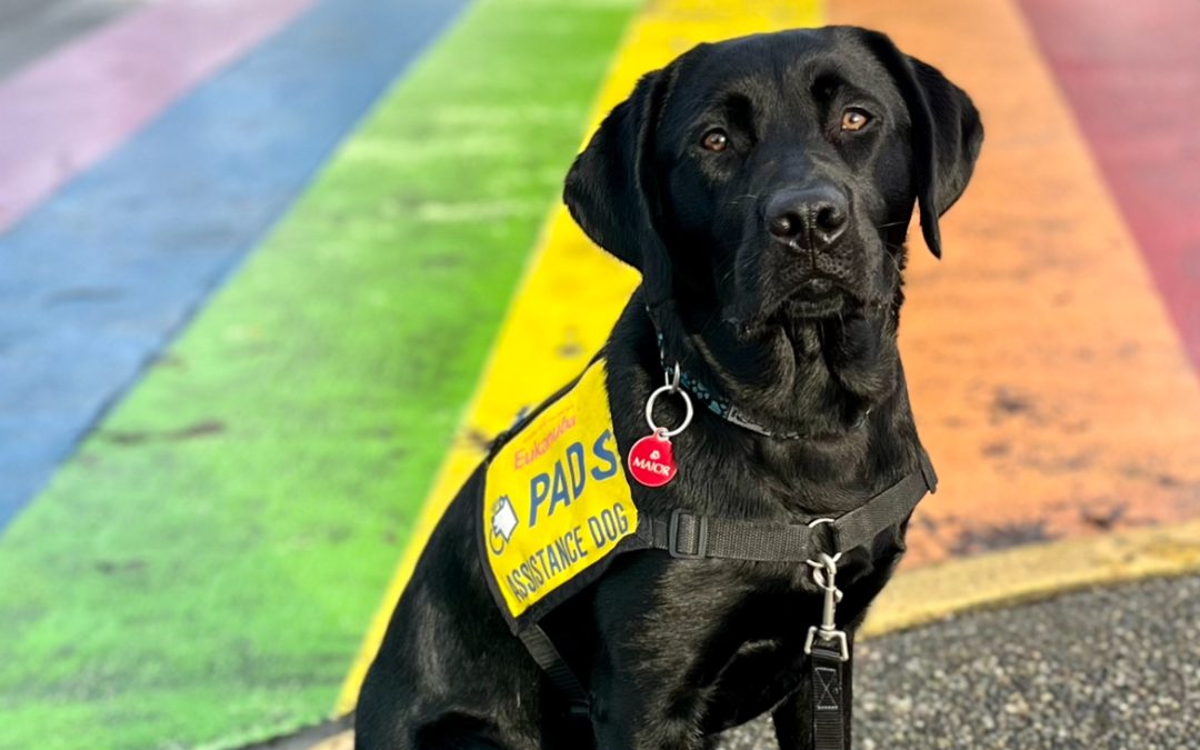 Major | January 2026