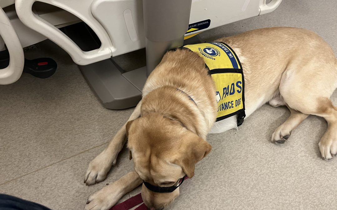 Casey | January 2026