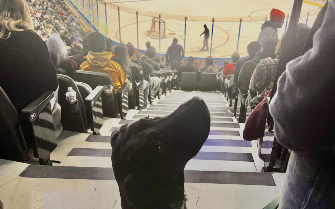 Tiki II | January 2026