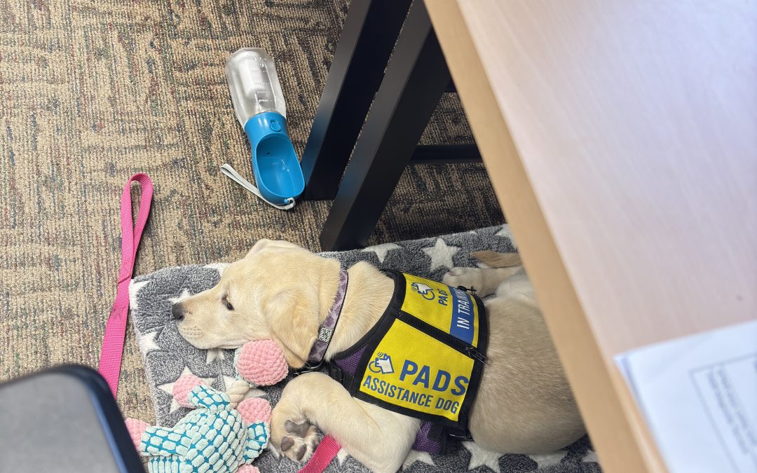 Nellie | January 2026