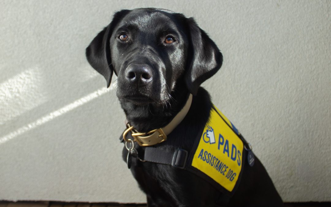 Bubba II | January 2026