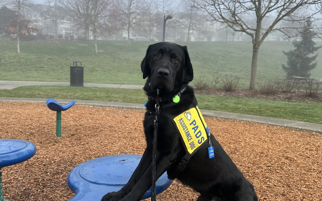 Arthur | January 2026