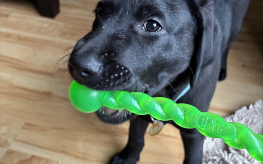 Nolan | January 2026