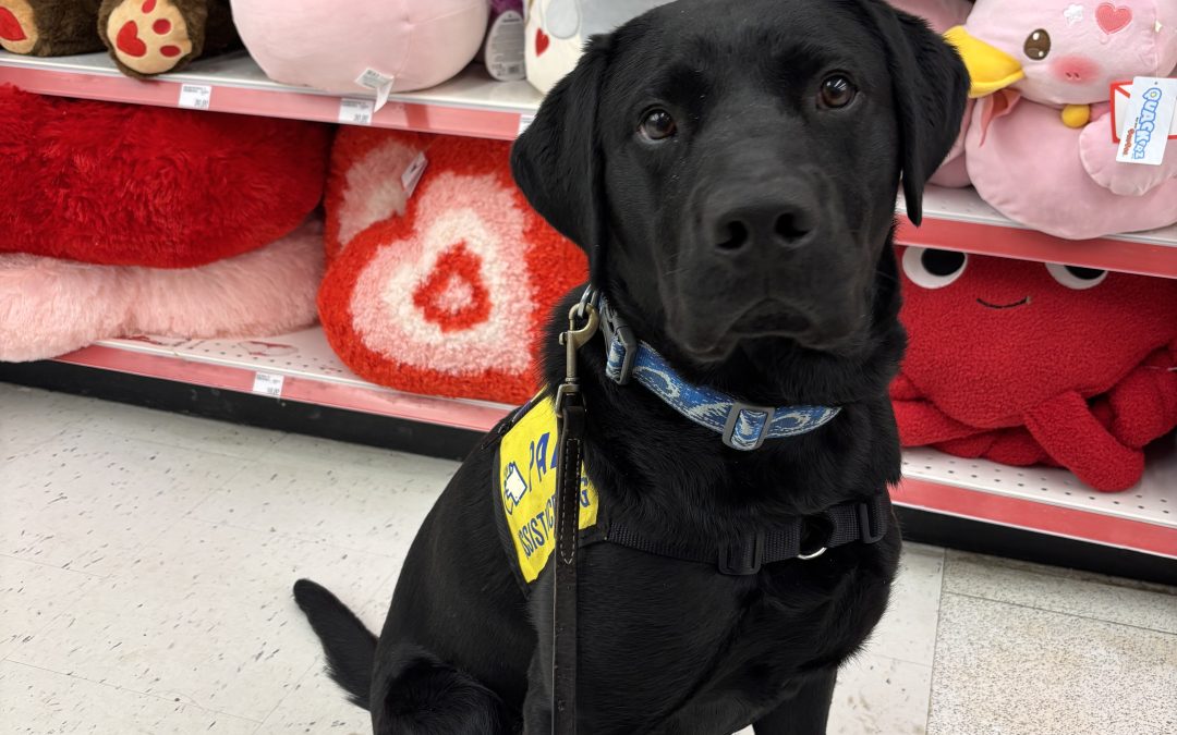 Doane | January 2026