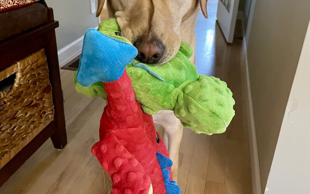 Honey IV | January 2026