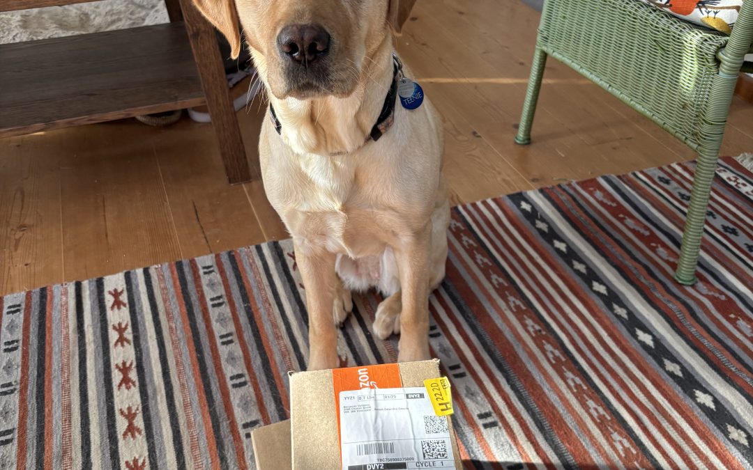 Teenie | January 2026