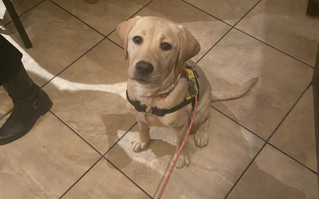 Chorcha | January 2026