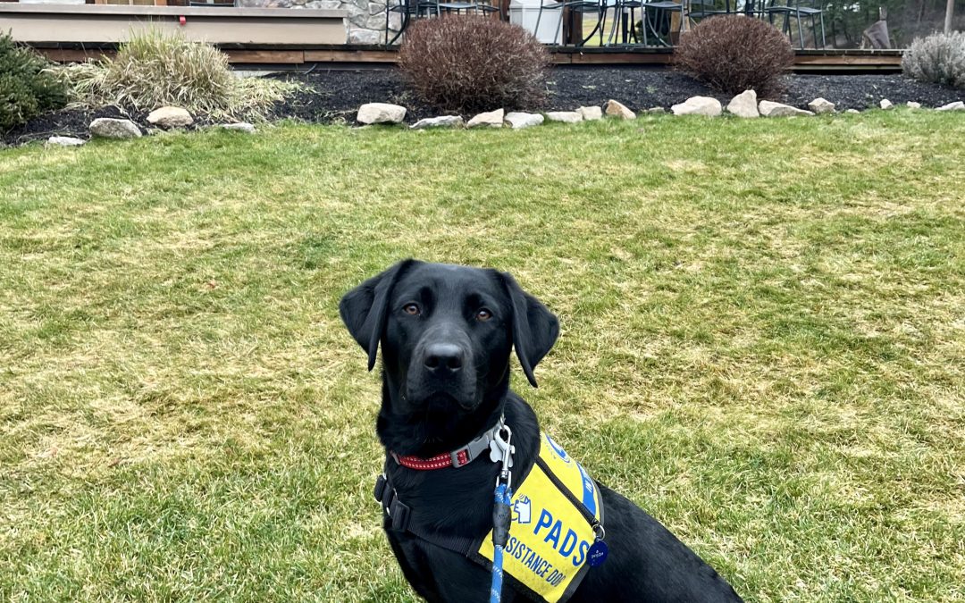 Shyloh | January 2026