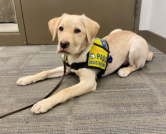 Frosty II | January 2026