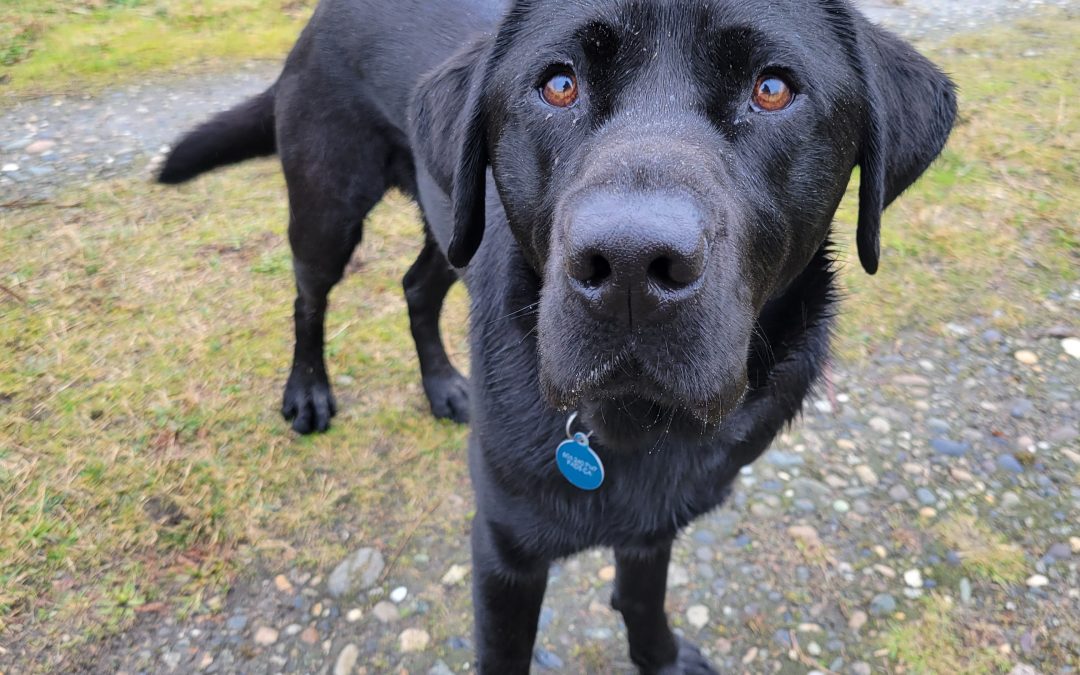 Baldwin | January 2026