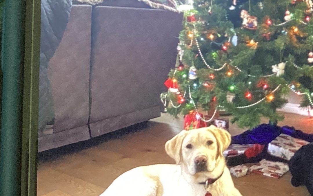 Jonsie | January 2026