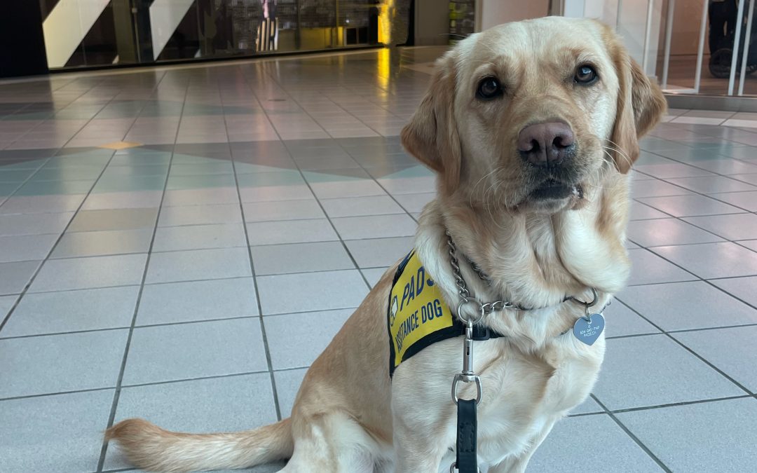 Korra | January 2026