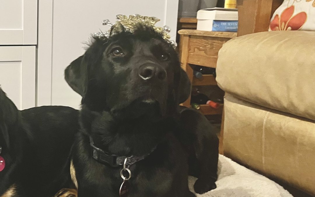 Libby II | January 2026